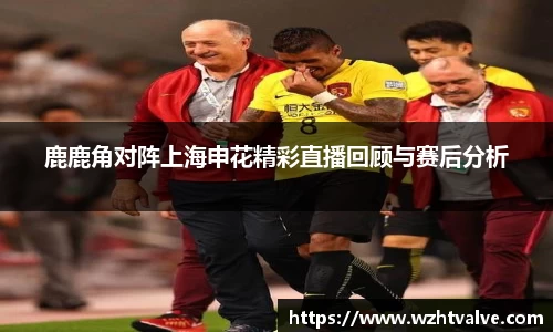 鹿鹿角对阵上海申花精彩直播回顾与赛后分析